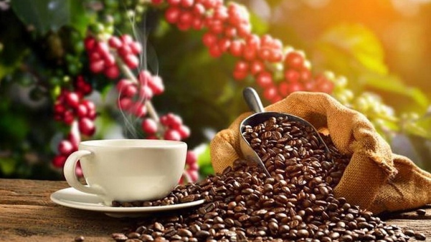 Two-month coffee exports likely to exceed US$1 billion